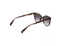 Bulget Sonnenbrille BG 9261 P01