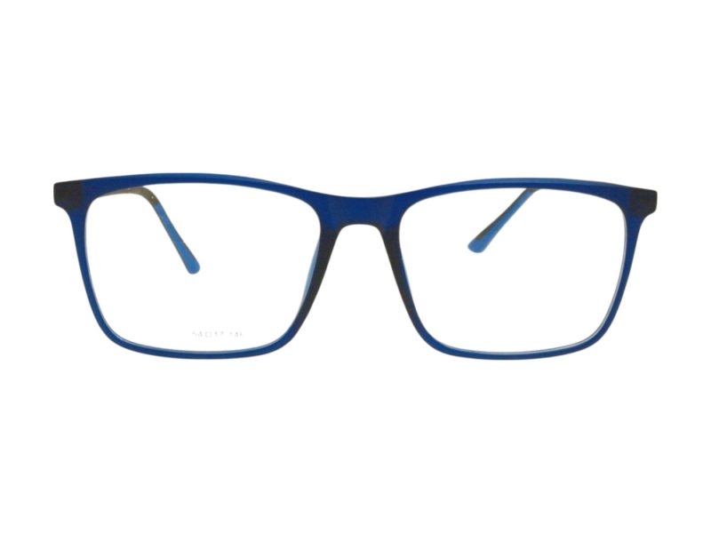 Berkeley Computer brille BB RS9016 C4 54