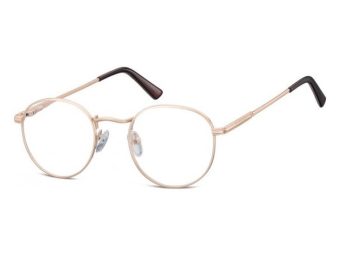 Berkeley Computer brille 604 F