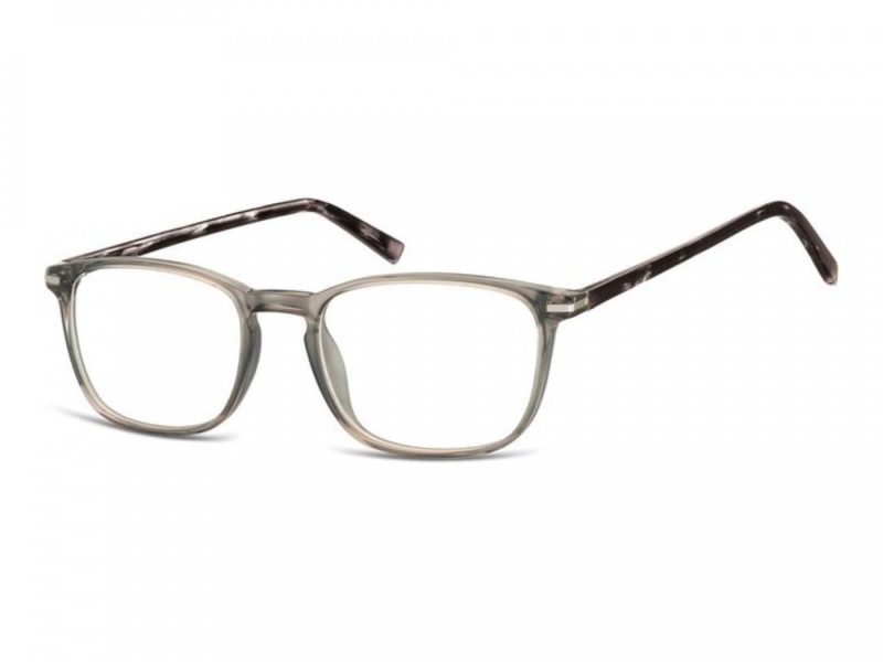 Berkeley Computer brille CP120A