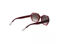 Comma Sonnenbrille COMMA 77192 79