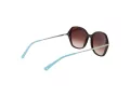 Comma Sonnenbrille COMMA 77206 60