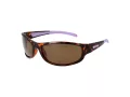 Champion Sonnenbrille CUW 5207 C02