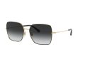 Dolce & Gabbana Sonnenbrille DG 2242 1334/8G