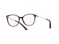Dolce & Gabbana Brillen DG 3363 3091