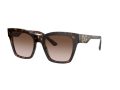 Dolce & Gabbana Sonnenbrille DG 4384 502/13
