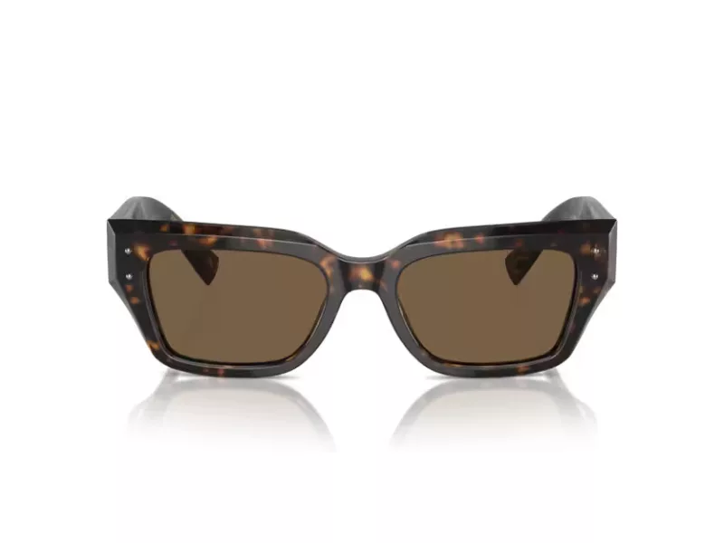 Dolce & Gabbana Sonnenbrille DG 4462 502/73