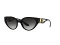 Dolce & Gabbana Sonnenbrille DG 6146 501/8G