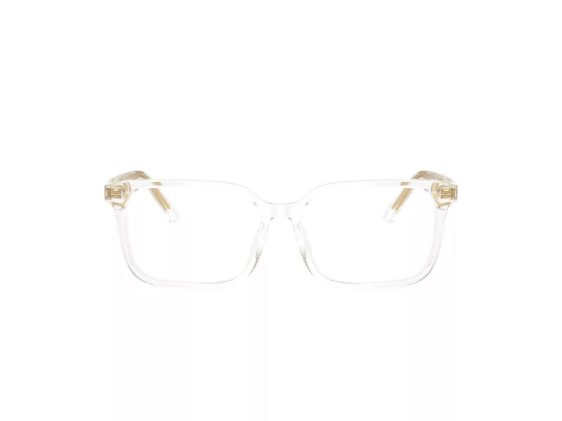 Dolce & Gabbana Kids Brillen DX 3003 3133