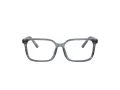 Dolce & Gabbana Kids Brillen DX 3003 3482
