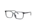 Dolce & Gabbana Kids Brillen DX 3003 3482