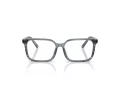 Dolce & Gabbana Kids Brillen DX 3003 3482