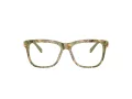 Dolce & Gabbana Kids Brillen DX 3356 3488