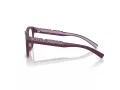 Dolce & Gabbana Kids Brillen DX 5007 3360