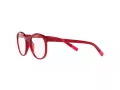 Dolce & Gabbana Kids Brillen DX 5095 1551