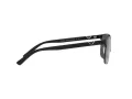 Emporio Armani Sonnenbrille EA 2134 300187