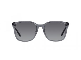 Emporio Armani Sonnenbrille EA 4206D 5029T3