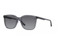 Emporio Armani Sonnenbrille EA 4206D 5029T3