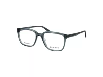 Esprit Brillen ET 33494 508