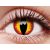 ColourVUE Crazy One-Day Dragon Eyes (2 stk), Tageskontaktlinsen