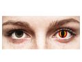 ColourVUE Crazy One-Day Dragon Eyes (2 stk), Tageskontaktlinsen