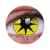 ColourVUE Crazy Yellow Star (2 stk) , Abdeckung, 3 Monatskontaktlinsen - ohne Dioptrie