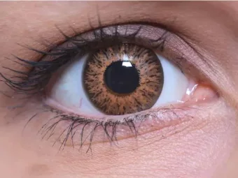   ColourVUE Glamour Méz (2 stk) , Highlight, 3 Monatskontaktlinsen