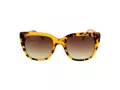 Funky Buddha Sonnenbrille FB 2038 004