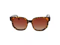 Funky Buddha Sonnenbrille FB 2052 004