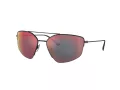 Ferrari Sonnenbrille FH 1009T 301/6P