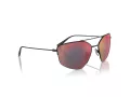 Ferrari Sonnenbrille FH 1009T 301/6P