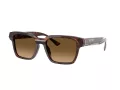Ferrari Sonnenbrille FH 2011U 725/M2