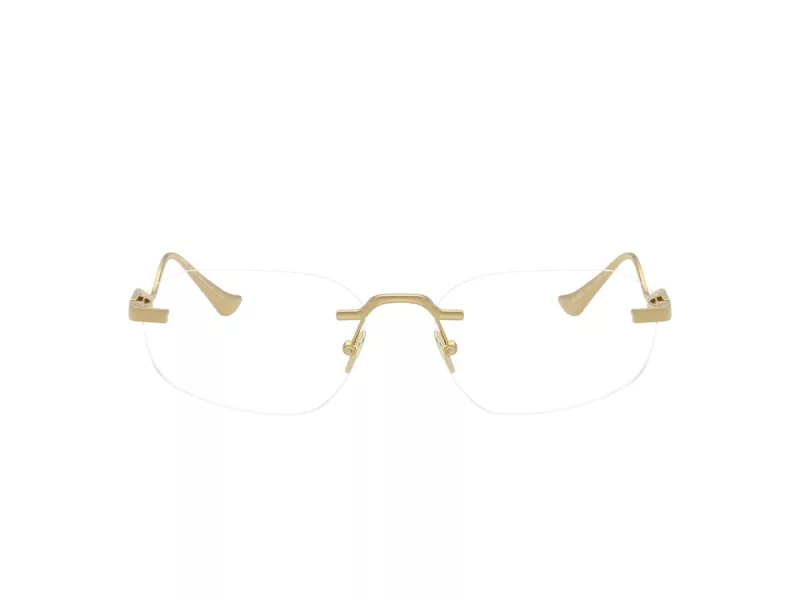 Ferrari Brillen FH 3008T 313