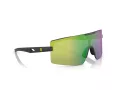 Ferrari Scuderia Sonnenbrille FZ 6008U 516/M2