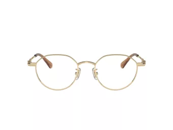 Coach Brillen HC 5173TD 9005