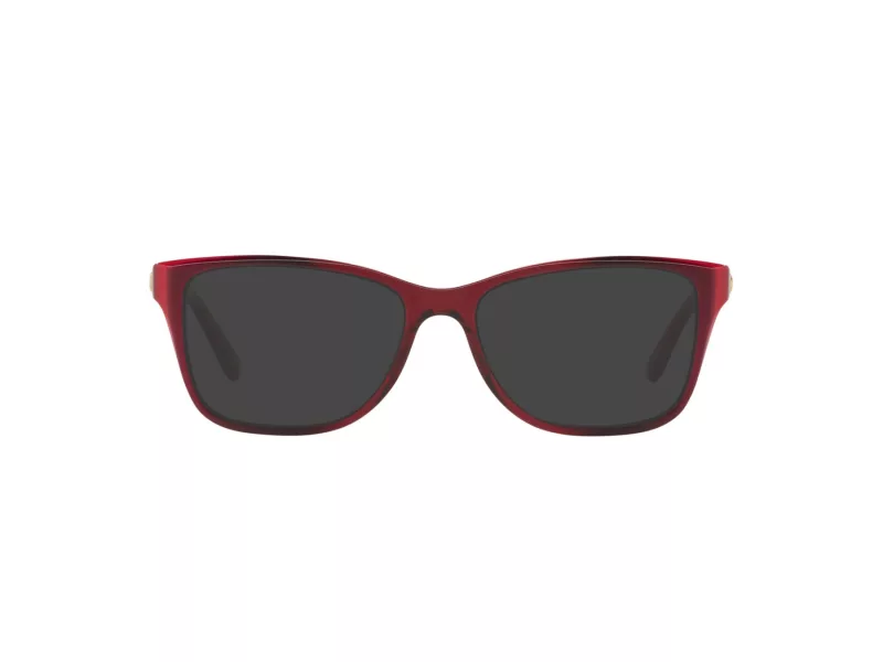 Coach Brillen HC 6129 5532