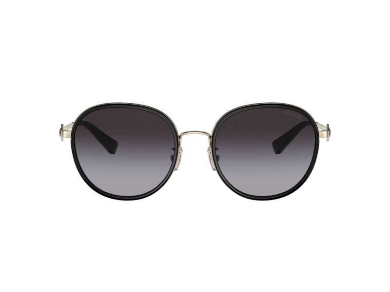Coach C6179 Sonnenbrille HC 7129 50028G