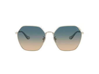 Coach C7998 Sonnenbrille HC 7132 900579