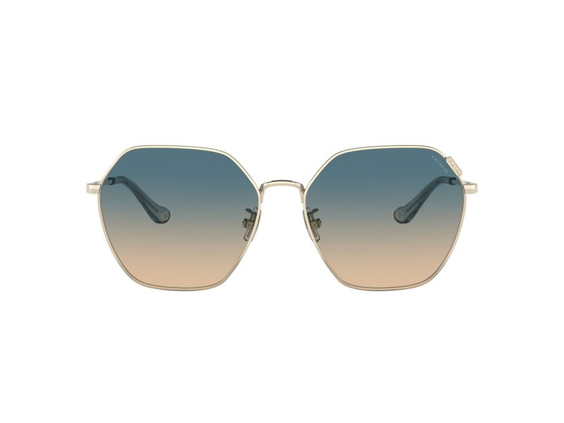 Coach C7998 Sonnenbrille HC 7132 900579