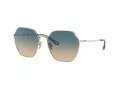 Coach C7998 Sonnenbrille HC 7132 900579