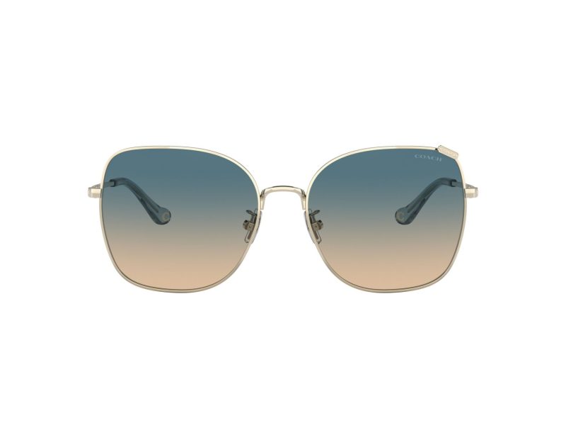 Coach C7997 Sonnenbrille HC 7133 900579
