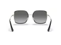 Coach C8000 Sonnenbrille HC 7139BD 934611