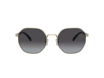 Coach Ch556 Sonnenbrille HC 7147 90058G