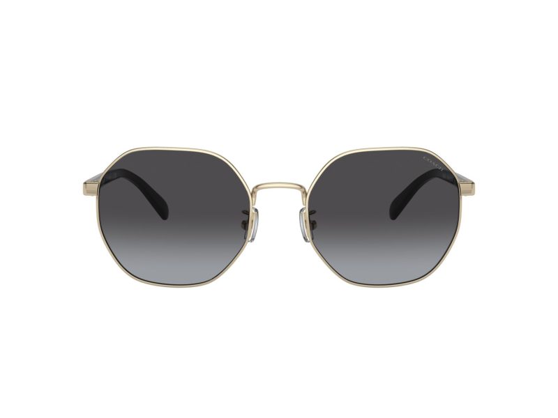 Coach Ch556 Sonnenbrille HC 7147 90058G