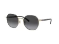 Coach Ch556 Sonnenbrille HC 7147 90058G