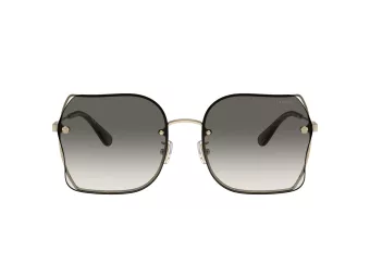 Coach Ch574 Sonnenbrille HC 7150D 900511