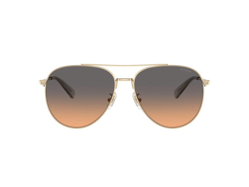 Coach Cw193 Sonnenbrille HC 7169 900518