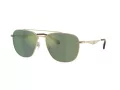Coach Cw404 Sonnenbrille HC 7172 90056R