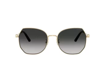 Coach Cad79 Sonnenbrille HC 7175 90053C