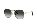Coach Cad79 Sonnenbrille HC 7175 90053C